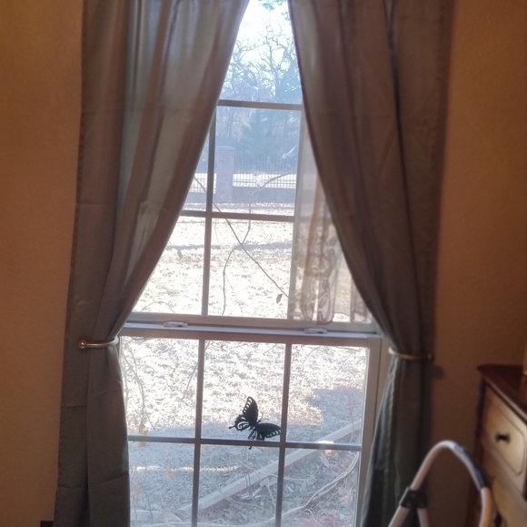 INTERIOR Design Curtain Panels - Picture 1 of 10